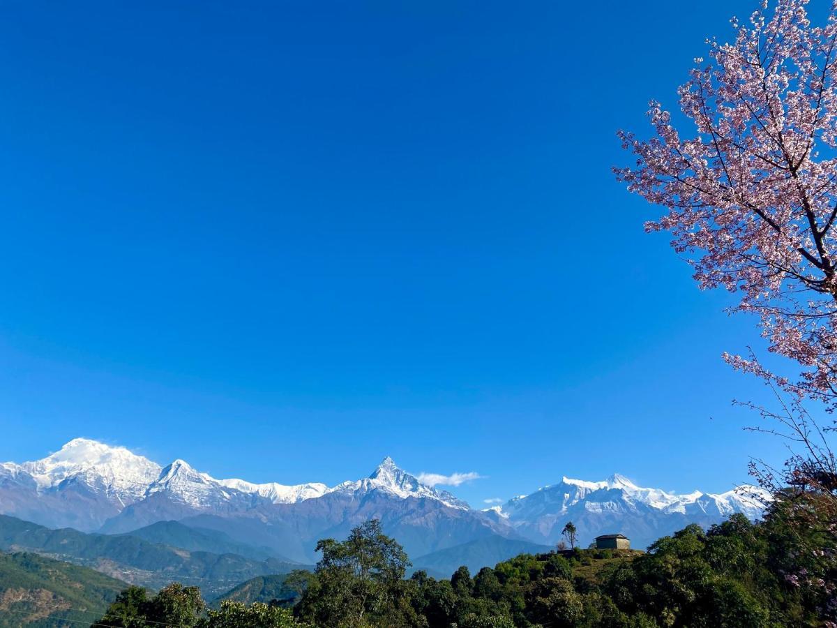 Superview Lodge, Best Himalayan Sunrise In Sarangkot Pokhara Exterior foto